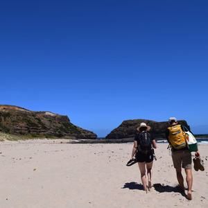 Meet your Posher, Carry